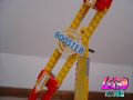 DSC008291.jpg